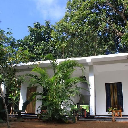 Sigiriya Mana B&B Eksteriør bilde