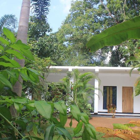 Sigiriya Mana B&B Eksteriør bilde