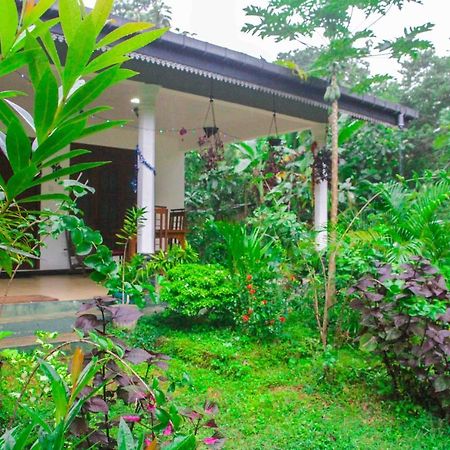 Sigiriya Mana B&B Eksteriør bilde