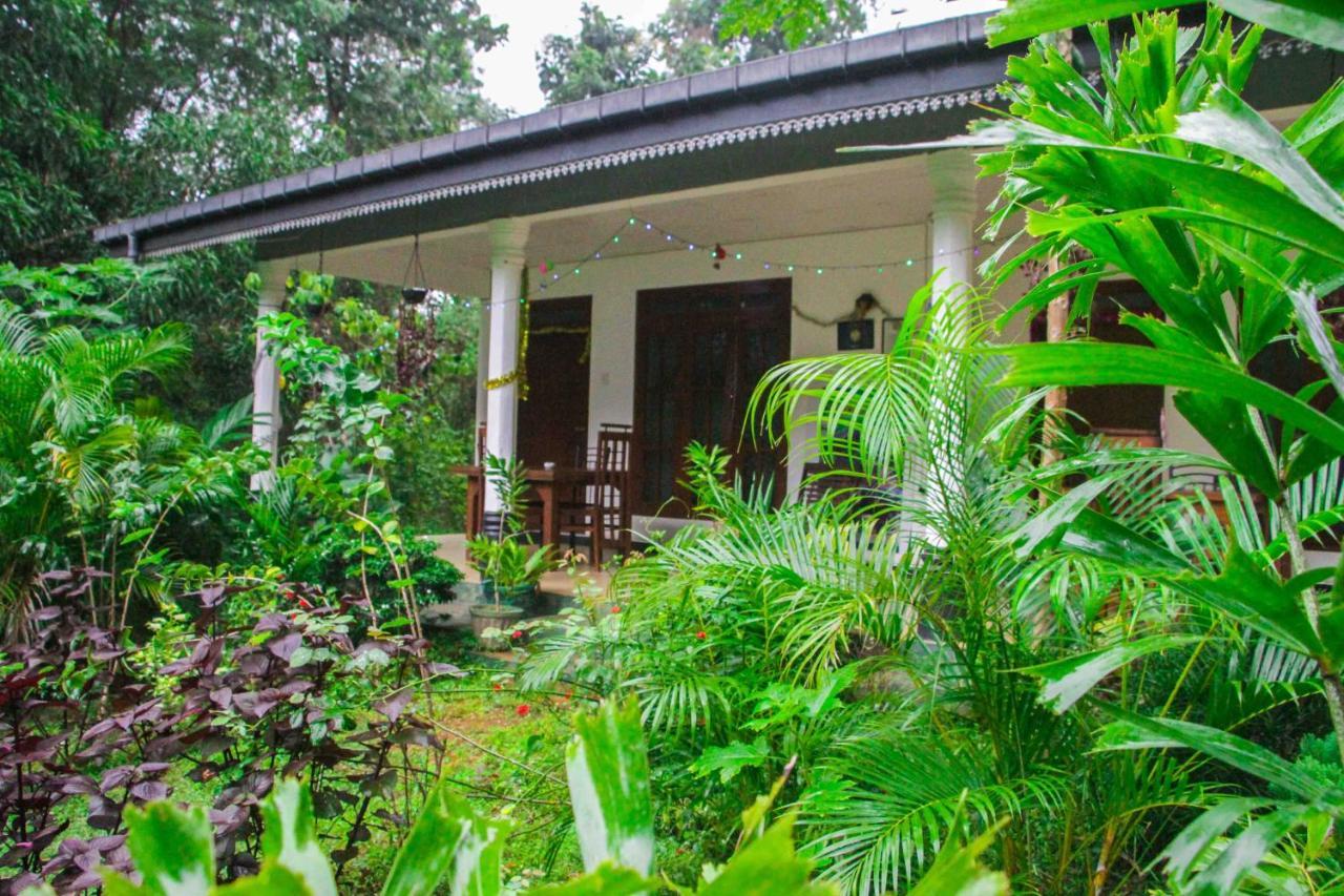 Sigiriya Mana B&B Eksteriør bilde