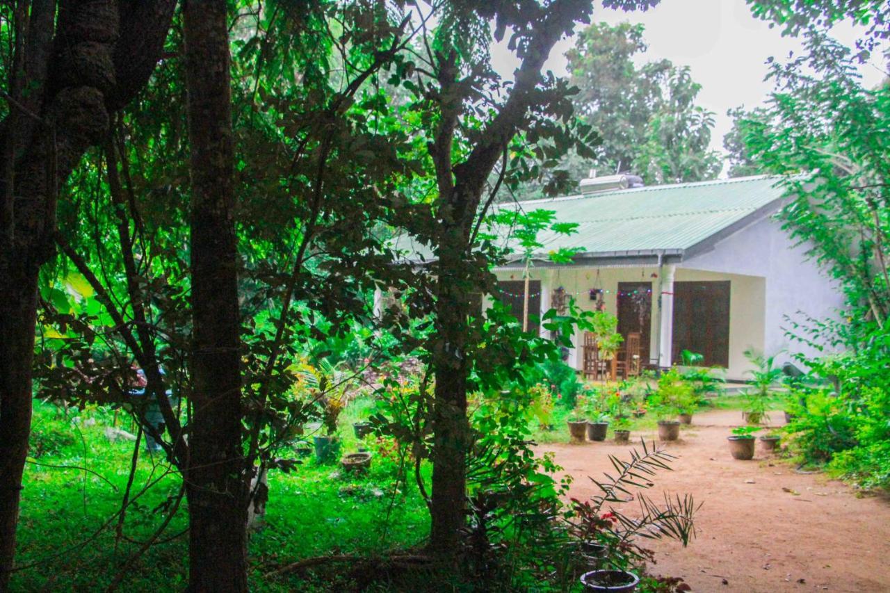 Sigiriya Mana B&B Eksteriør bilde