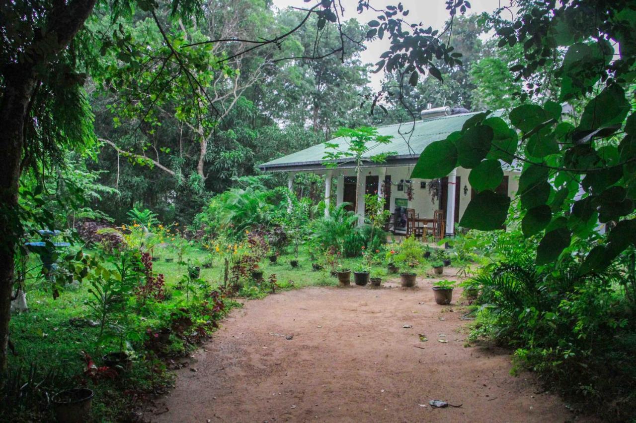 Sigiriya Mana B&B Eksteriør bilde