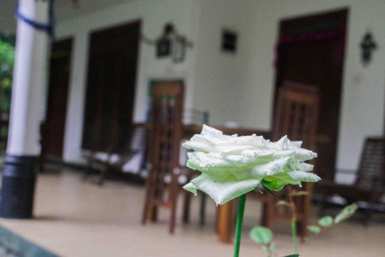 Sigiriya Mana B&B Eksteriør bilde