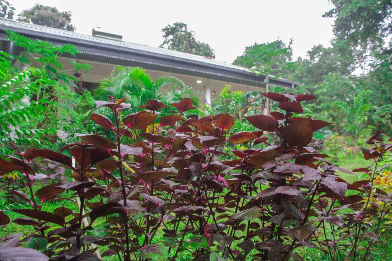 Sigiriya Mana B&B Eksteriør bilde