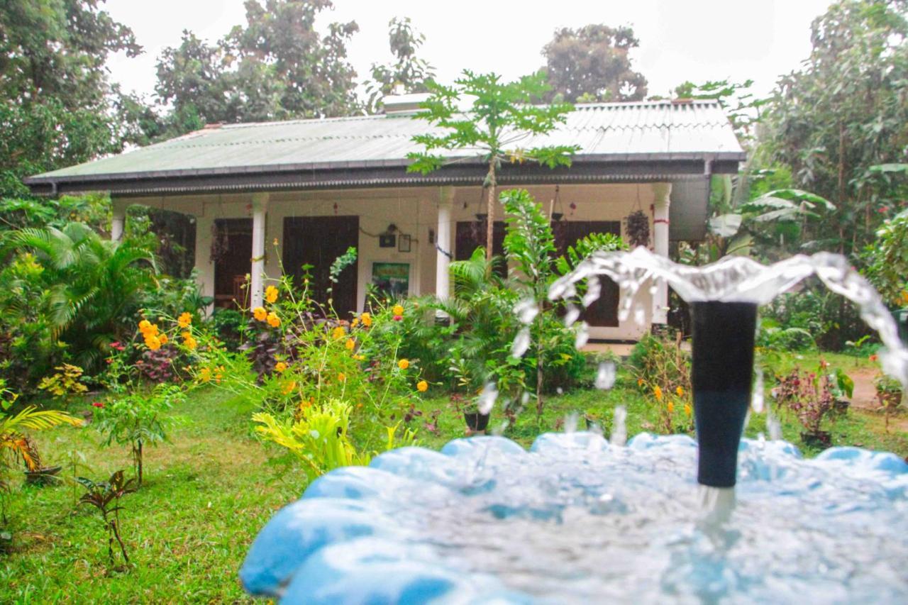 Sigiriya Mana B&B Eksteriør bilde