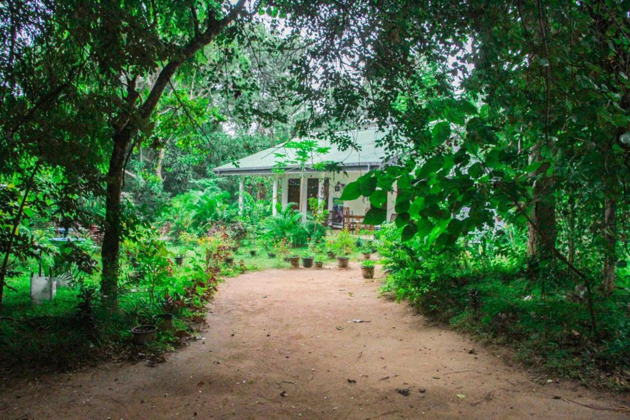 Sigiriya Mana B&B Eksteriør bilde