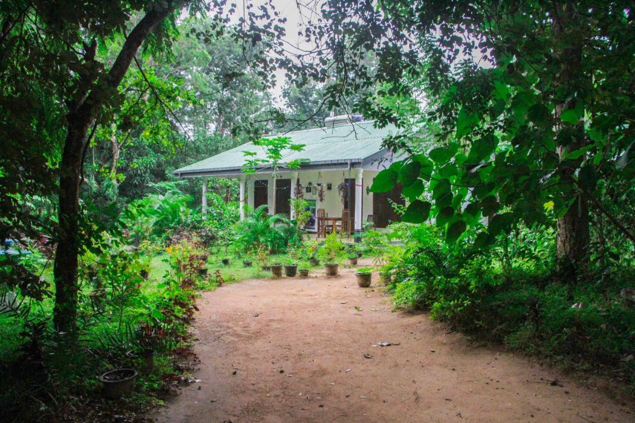Sigiriya Mana B&B Eksteriør bilde