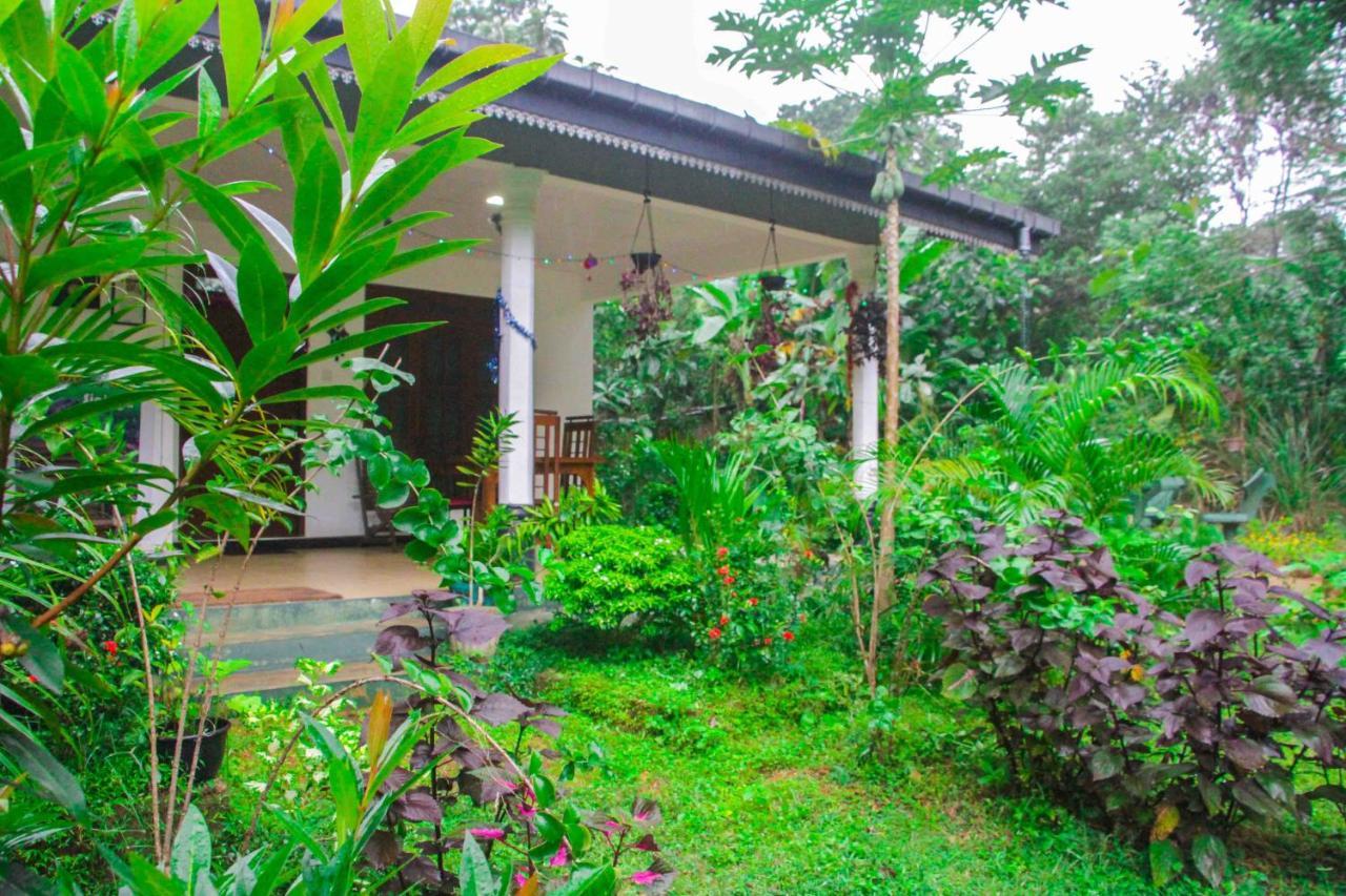 Sigiriya Mana B&B Eksteriør bilde