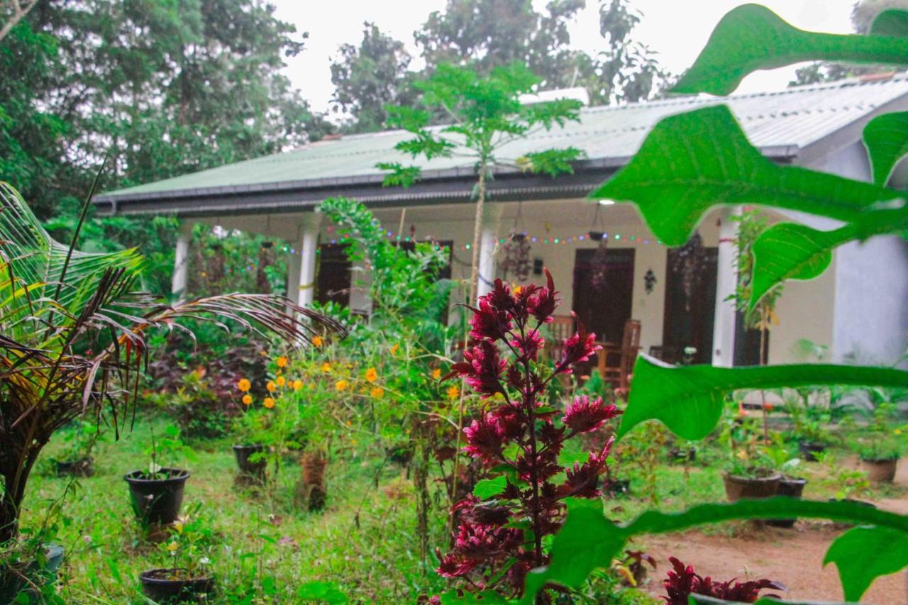 Sigiriya Mana B&B Eksteriør bilde