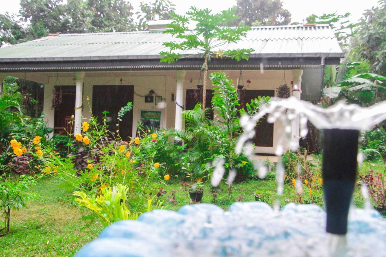 Sigiriya Mana B&B Eksteriør bilde