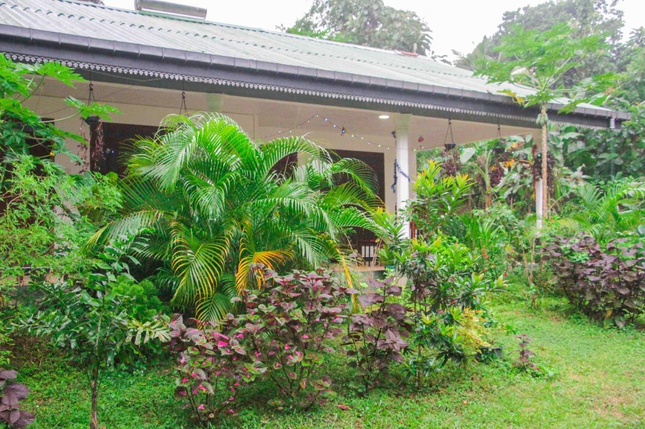 Sigiriya Mana B&B Eksteriør bilde